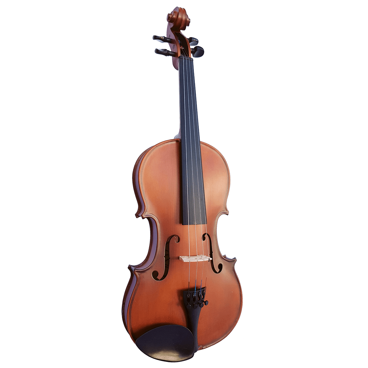 Violin Vivo Violins GIG Guitars