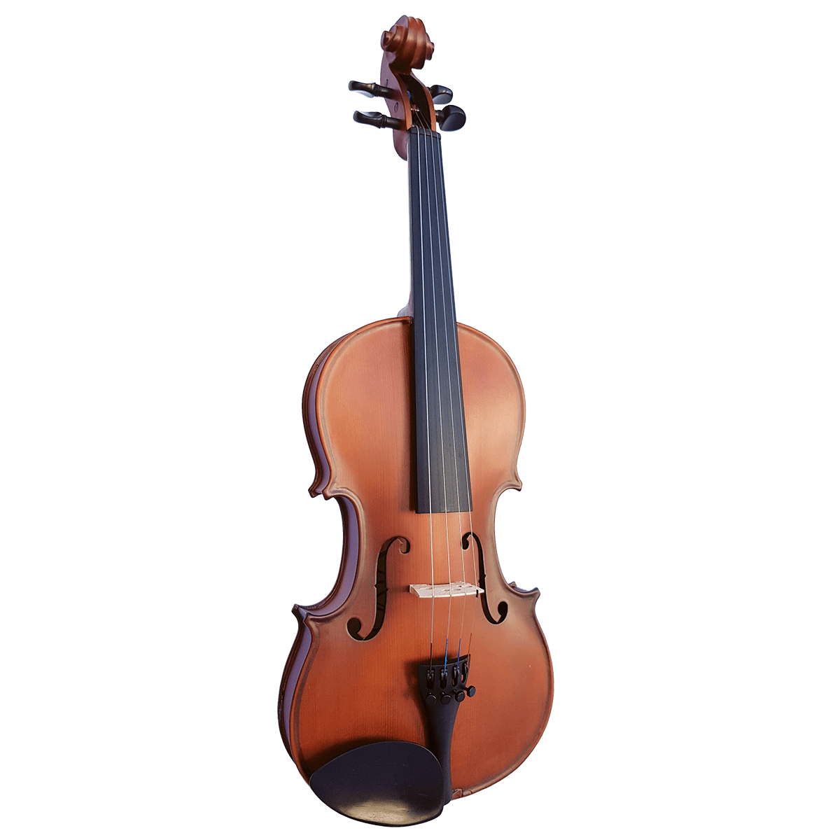 Vivo Neo Plus 3/4 Student Violin Outfit - Setup - GIG Guitars