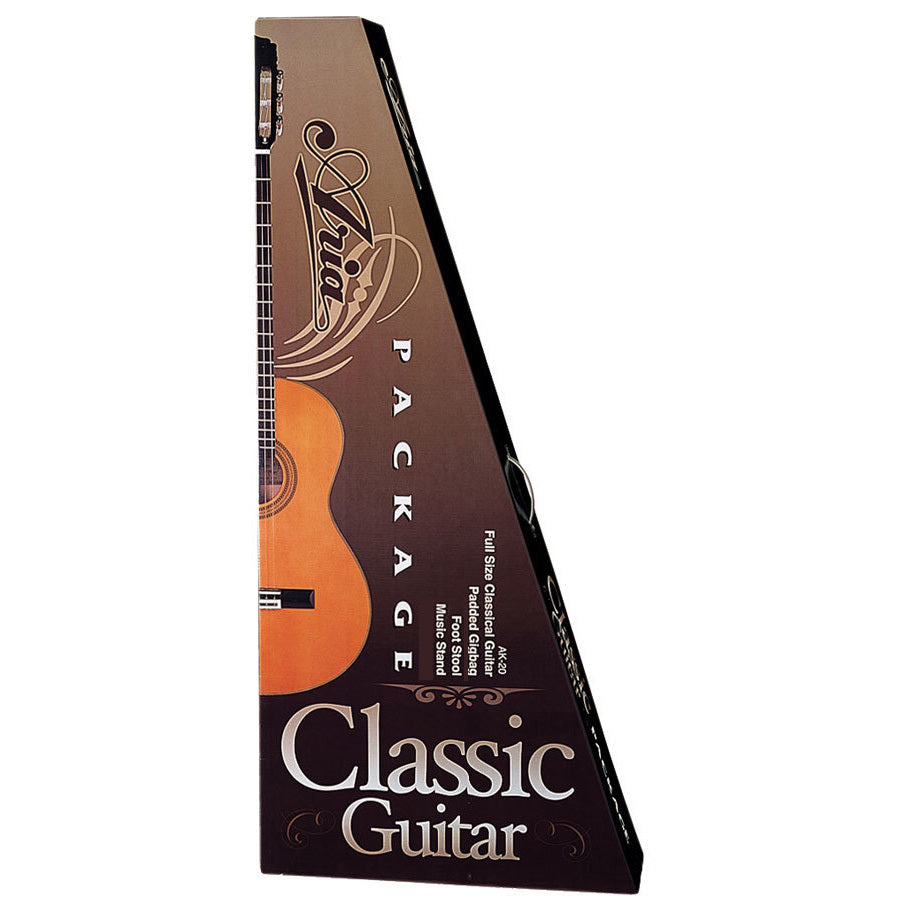 Aria Classical Guitar Package
