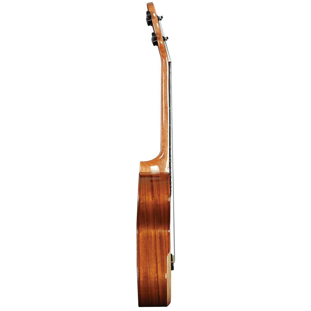 Barnes &amp; Mullins BMUK5C Concert Walnut Ukulele - GIG Guitars