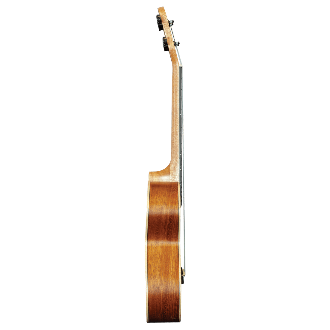 Barnes &amp; Mullins BMUK6T Solid Top Tenor Spruce/Mahogany Ukulele - GIG Guitars