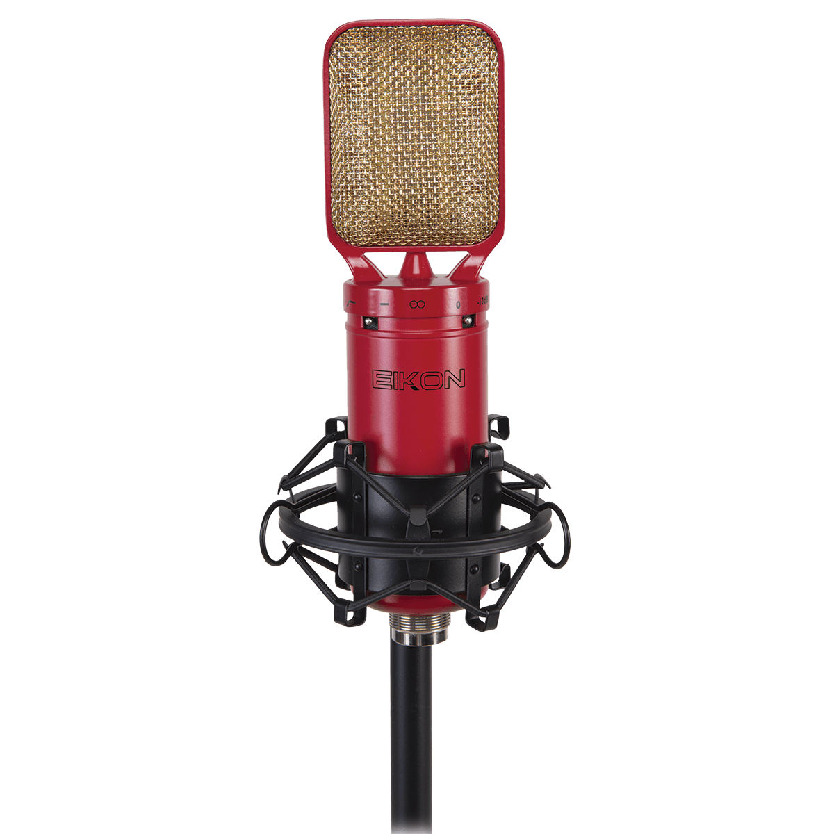 Eikon RM8 Ribbon Microphone with mount & case