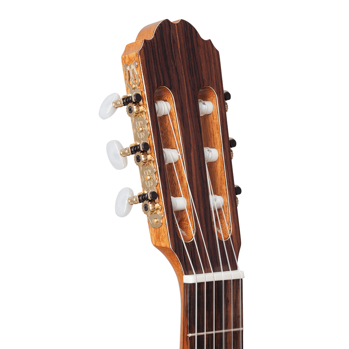 Kremona F65S Fiesta Spruce / Rosewood Classical Guitar w/case