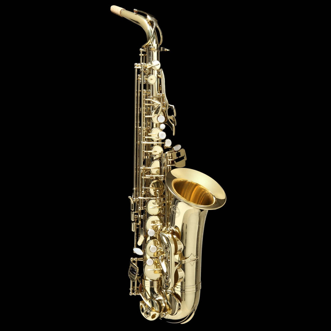 Grassi AS20SK Alto Saxophone Pack - GIG Guitars