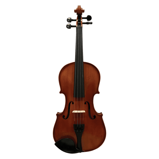Hidersine HW3180A Studenti Academy 'Finetune' 4/4 Violin Student Outfit