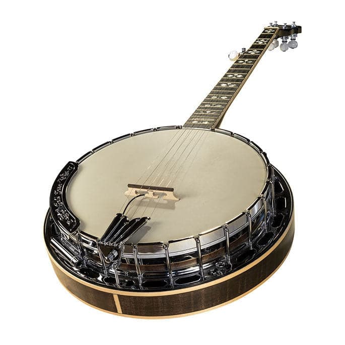 LR Baggs Banjo Pickup - GIG Guitars