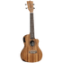 Tanglewood TWT16E Tiare Concert Ukulele w/ Pickup Koa - GIG Guitars