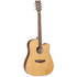 Tanglewood TW10 Winterleaf Dreadnought C/E Acoustic - GIG Guitars