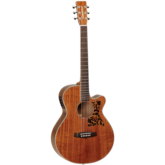 Tanglewood 47ASE Sundance Performance Pro Super Folk with ABS Case