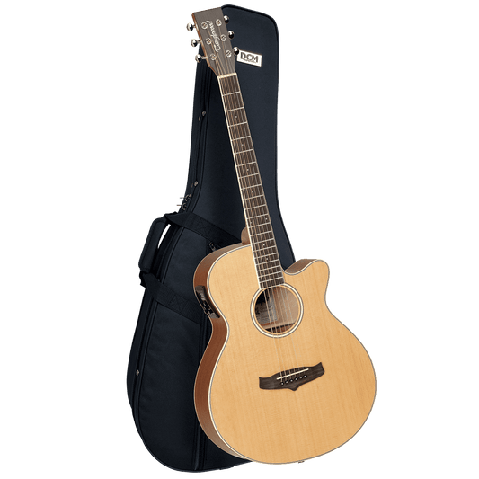 Tanglewood Winterleaf Super Folk C/E Guitar Pack with DCM Premium Case TW9-P