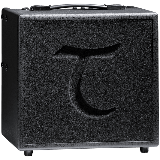 Tanglewood TWAMP6 T6 60W Acoustic Amplifier