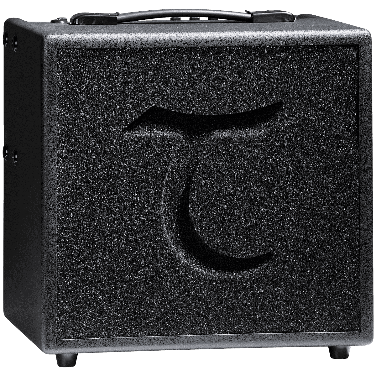 Tanglewood TWAMP6 T6 60W Acoustic Amplifier