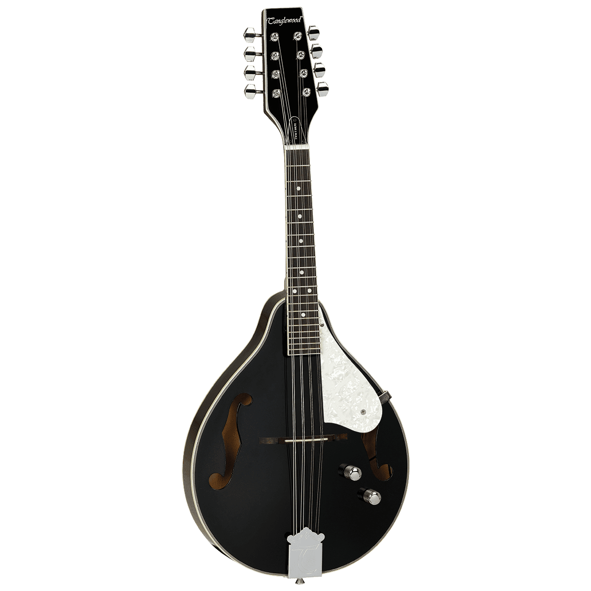 Union Series Mandolin Black With Pickup