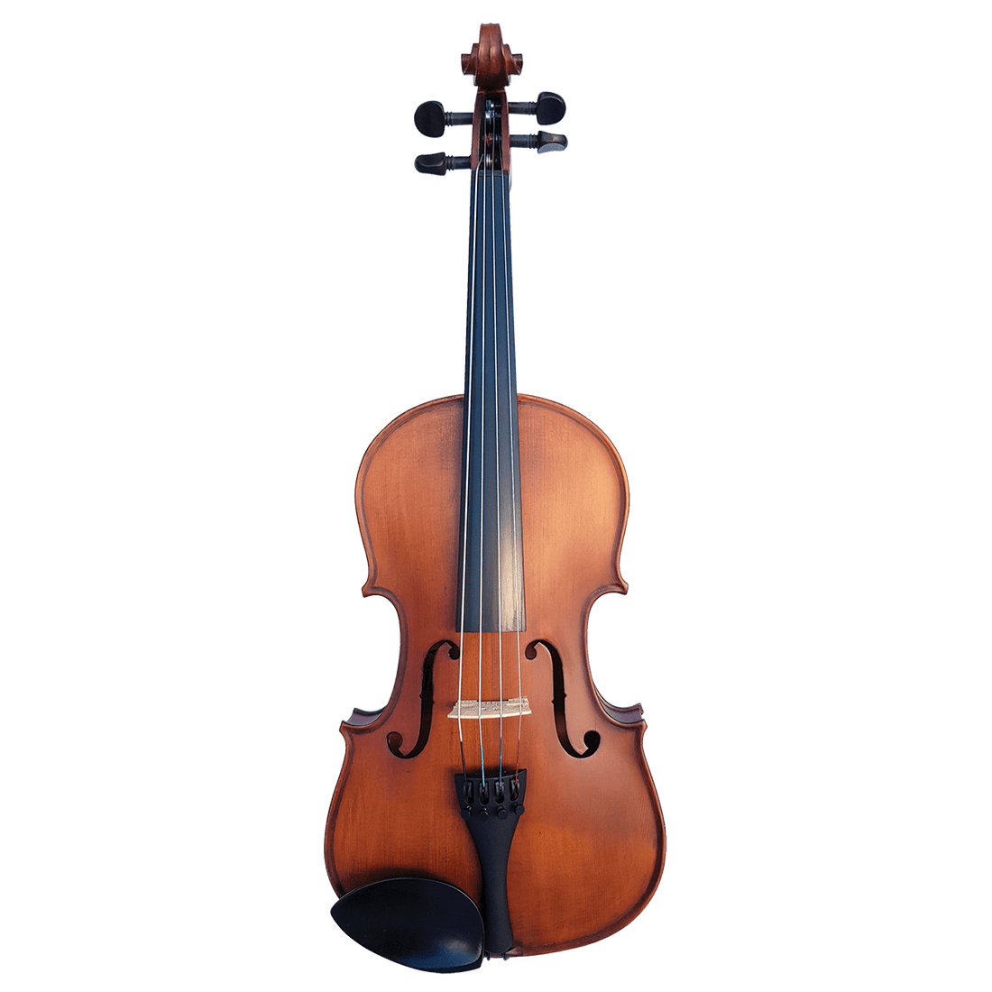 Vivo Neo 11&quot; Student Viola Outfit with setup - GIG Guitars