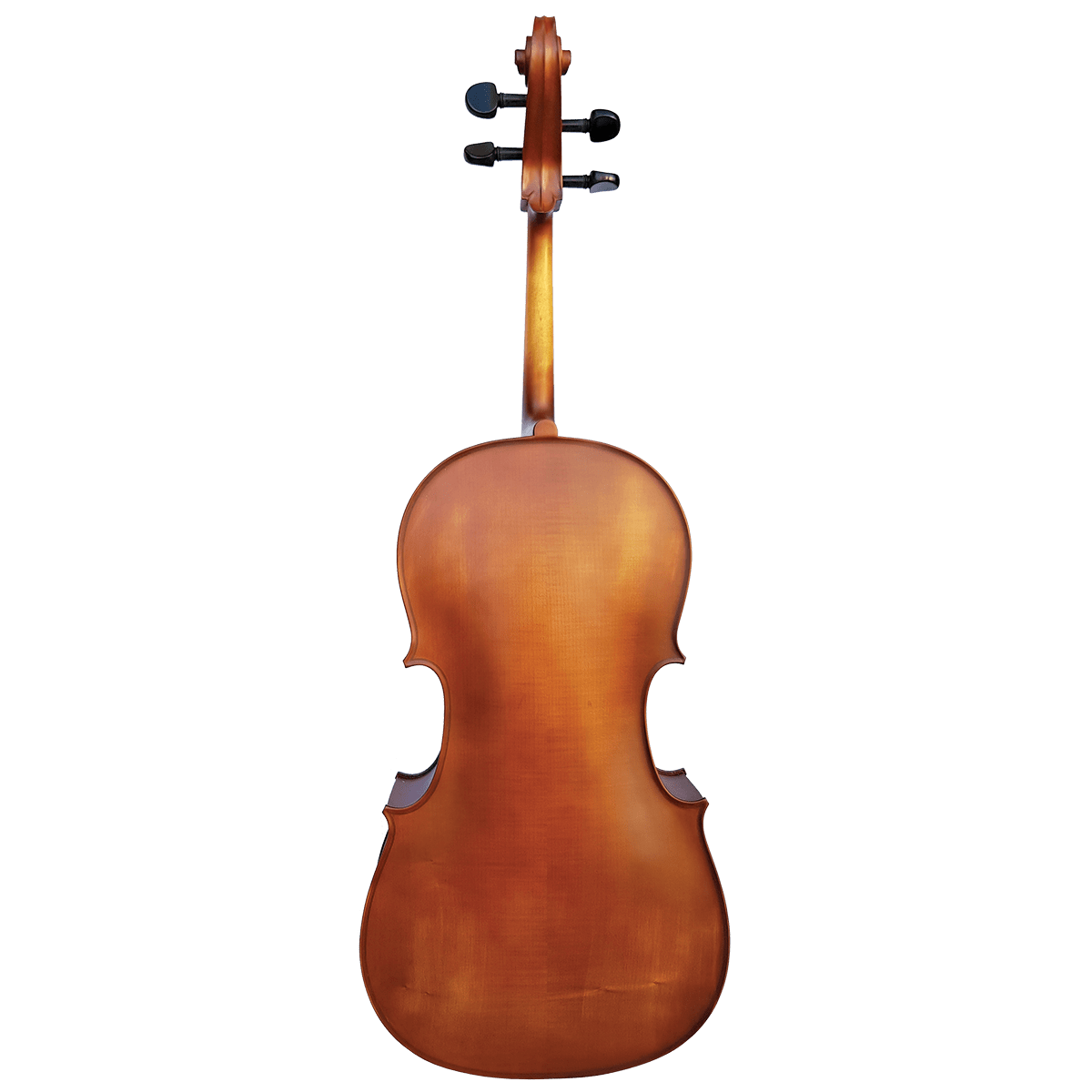 Vivo Student 1/2 Cello Outfit with Case - Setup - GIG Guitars