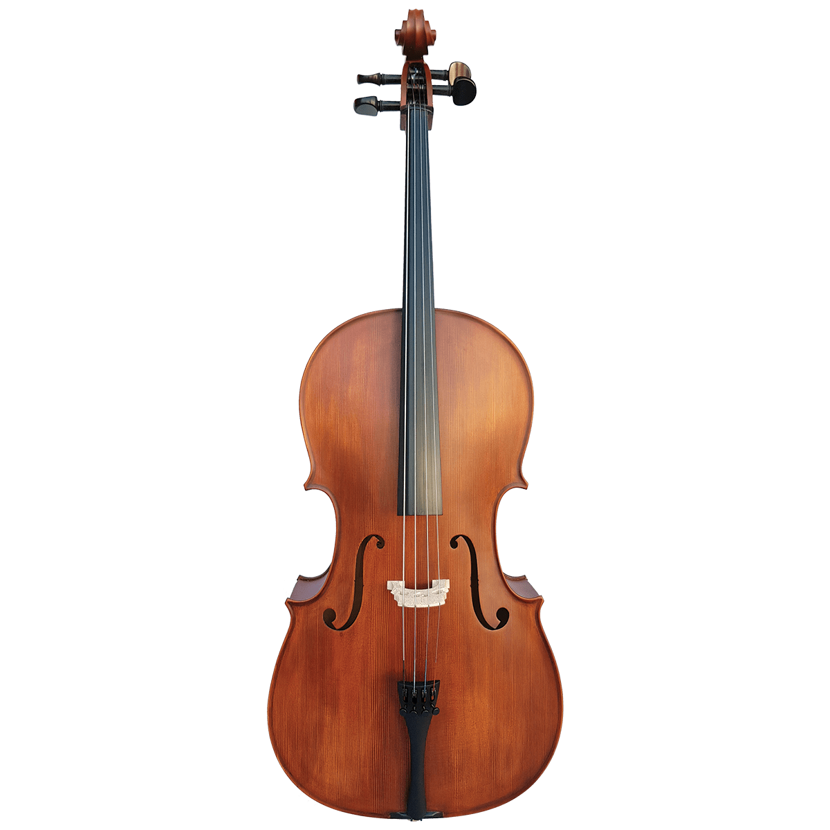 Vivo Student 3/4 Cello Outfit with Case - Setup